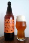 Hoppy Dog - Julie Juicy IPA, Juicy American IPA PET lahev a sklenice